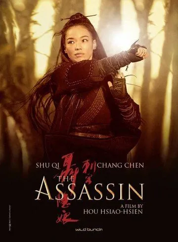 Qotil Assassin (Hong Kong filmi) Uzbek tilida 2015 O'zbekcha tarjima film Full HD skachat