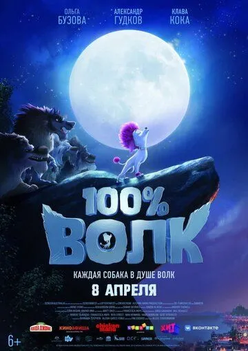 100% Bo'ri / Yuz foiz bori Uzbek tilida multfilm 2020 O'zbek tarjima kino HD